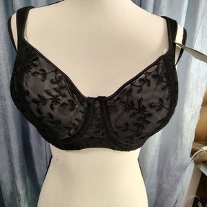 Natori 40D full figure sheer bra